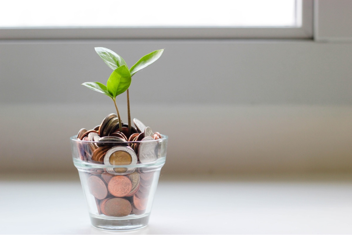 Plant growing in a container filled with coins