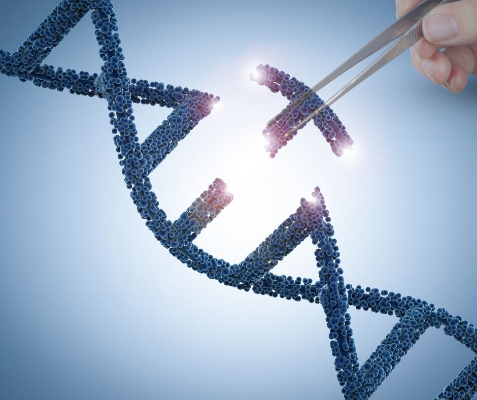 close up of DNA stand being broken apart